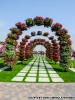 Снимки от най-голямата цветна градина в света!