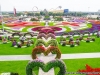 Снимки от най-голямата цветна градина в света!